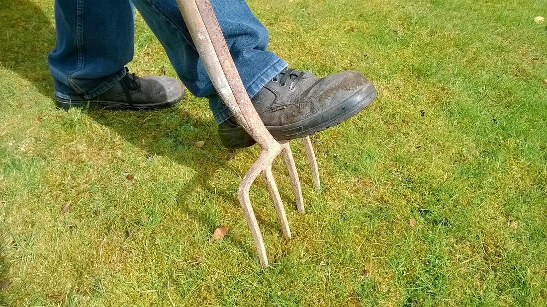 Pitchfork being used to drain a yard