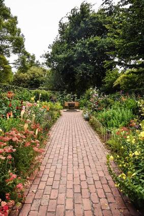 Brick walkway surrounded by flowers